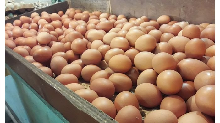 Update Terbaru Harga Sembako Jatim Telur Daging Ayam Hari Ini