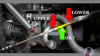 Panduan 4 Cara Cek Oli Mobil Menggunakan Dipstick Termudah