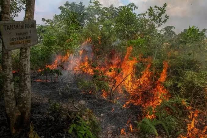 BMKG Ingatkan Kesiapsiagaan Menghadapi Musim Kemarau