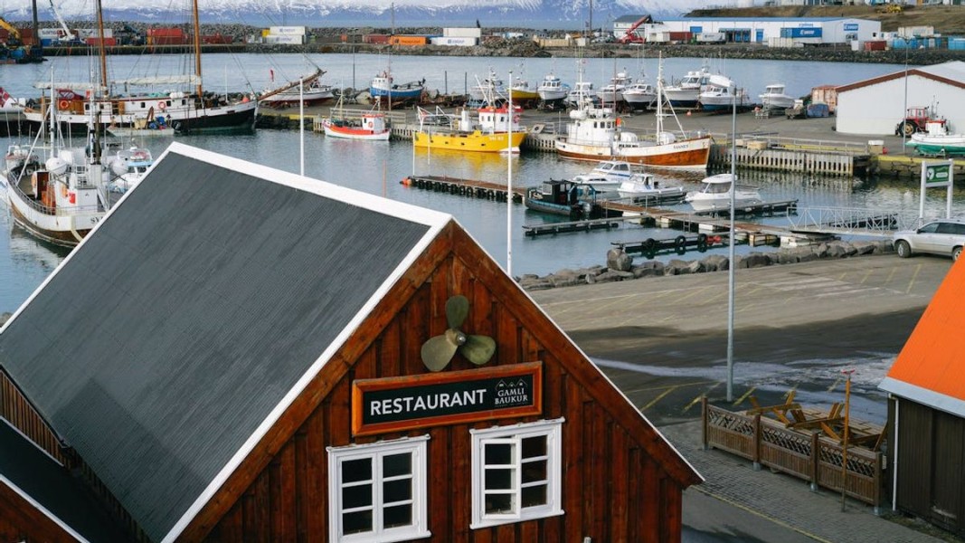 Ini 5 Negara Teraman di Dunia Tahun 2025