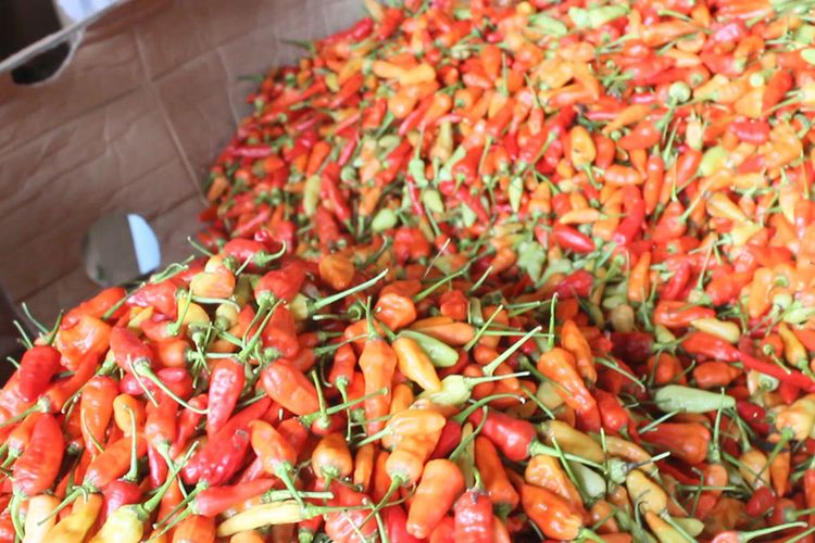 Update Harga Sembako Jatim: Cabai Naik, Ayam Turun