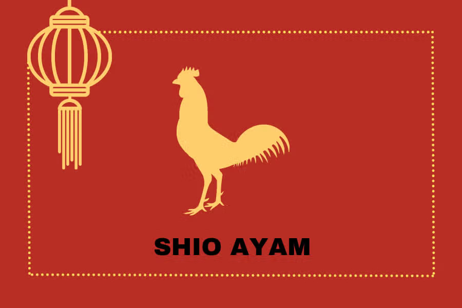 6 Shio dengan Keberuntungan Finansial Tinggi tapi Risiko Besar