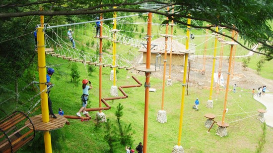 Lonjakan Wisata Outbound Dipicu Kenaikan Biaya Domestik dan Ketertarikan Destinasi ASEAN