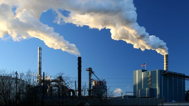 Indonesia Siapkan Minyak Nabati Gantikan Energi Fosil untuk Mewujudkan Swasembada Energi