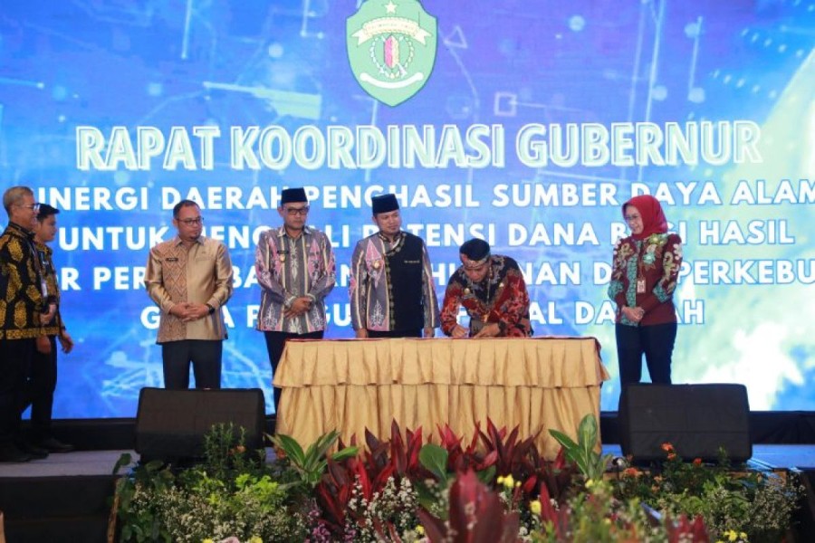 Dorong Optimalisasi Fiskal Daerah Sektor Kehutanan dan Pertambangan