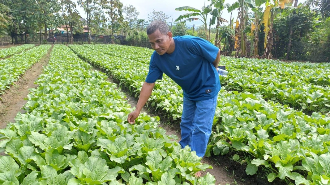 Petani Desa Lele Hidupkan Ekonomi dari Lahan Kering