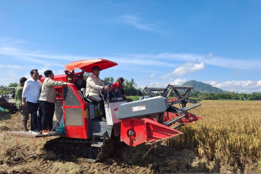 Peran Petani dalam Sinergi Bangun Ketahanan Pangan Nasional