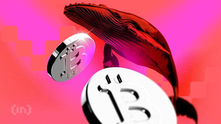 Sinyal Whale di Pasar Crypto