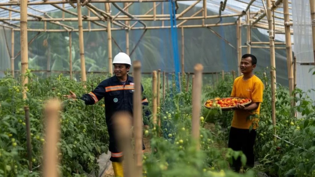 Garitan Kalongliud Jadi Model Pertanian Sirkular Terpadu Berkelanjutan