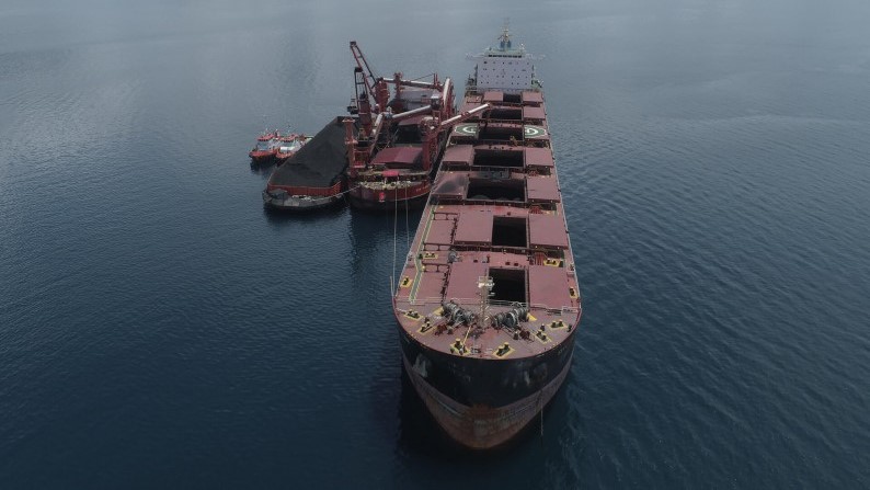 Transcoal Pacific Perluas Diversifikasi Kargo Bijih Nikel Demi Pertumbuhan Nasional