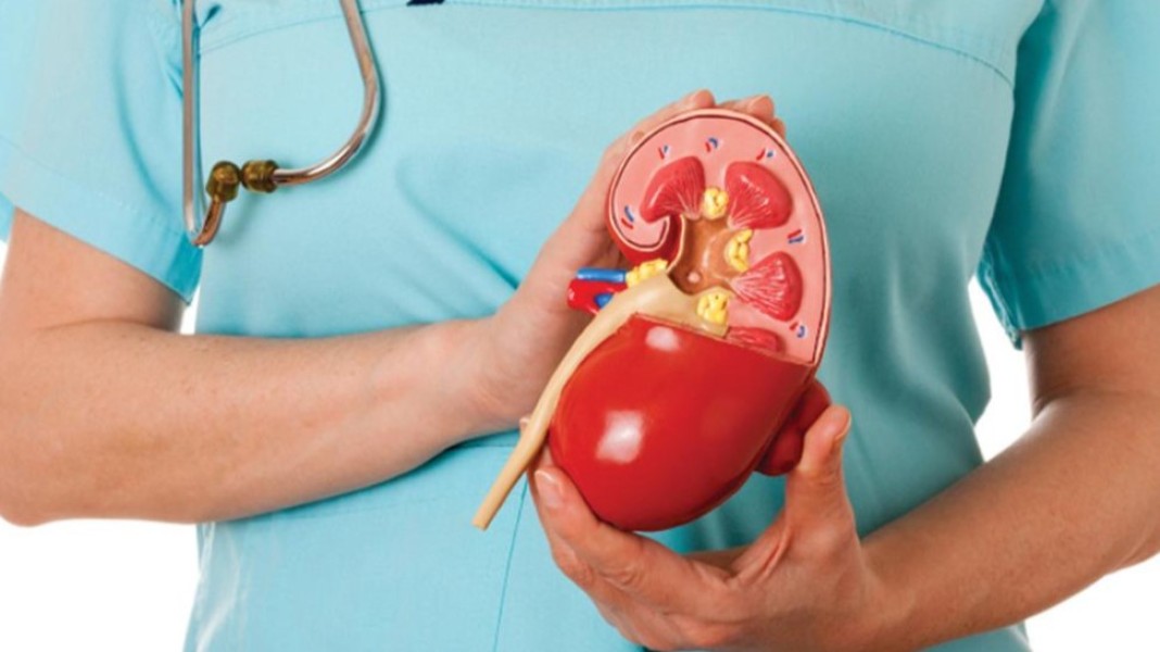 Jangan Diabaikan, Inilah Berbagai Tanda Ginjal Tidak Sehat yang Sering Disalahartikan