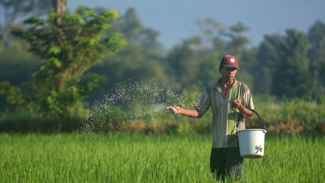 Petani Jember Bisa Dapatkan Pupuk Bersubsidi 124 Ribu Ton Mulai Januari 2026
