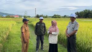 Saadiah Uluputty Berkomitmen Perjuangkan Aspirasi Petani Desa Waipirit: Dorong Penguatan Ketahanan Pangan Nasional