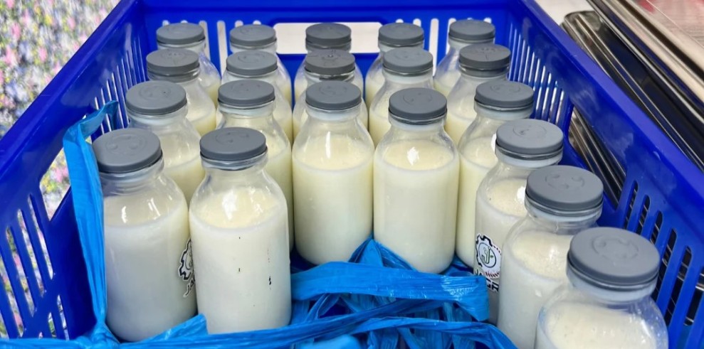 BGN Dorong Produksi Susu Segar Lewat Penambahan Kandungan MBG
