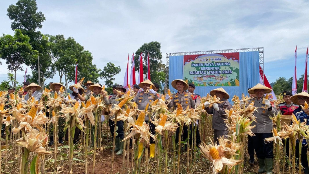 Senyum Petani Bandung Barat Menguat Usai Panen Raya Jagung Bersama Polisi