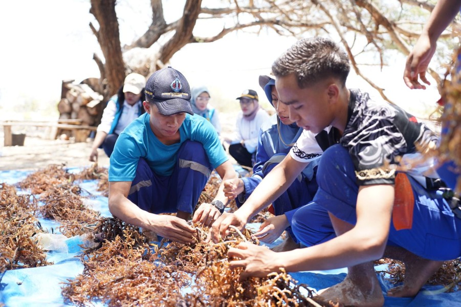 PLN UIP Nusra Rayakan Hari Sumpah Pemuda Dengan Mengajak Pemuda Menjadi Agen Perubahan Dalam Transisi Energi Bersih Nasional Menuju Net Zero Emission