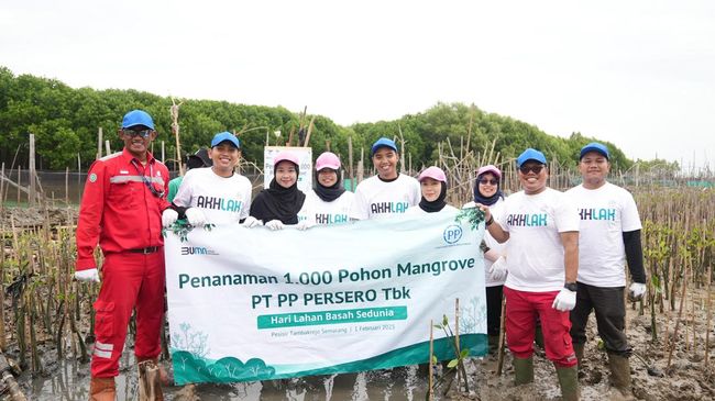PT PP Tanam 1.000 Pohon Mangrove di Tambakrejo untuk Lawan Abrasi dan Perubahan Iklim