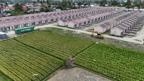 Pembangunan Perumahan Masif di Sukamakmur Bogor, Hamparan Persawahan Mulai Tergusur