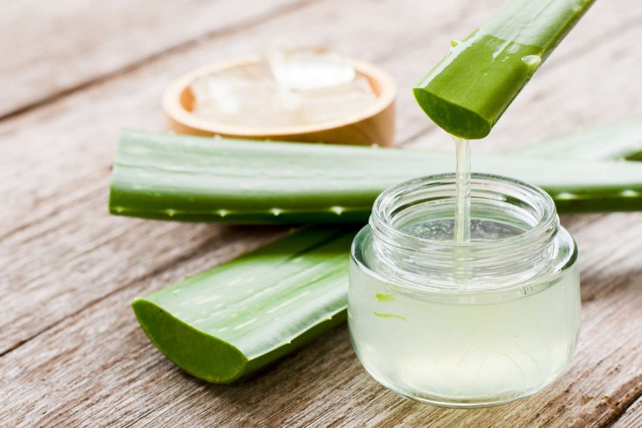 Pendekatan Ilmiah Jadi Dasar Keamanan Produk Aloe Vera