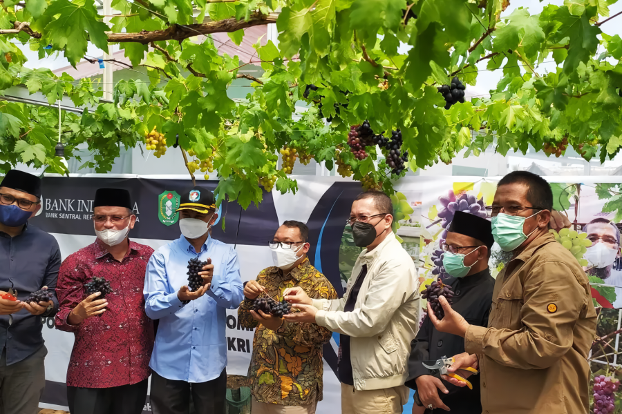 Wisata Edukasi Anggur Hadir di Karangploso
