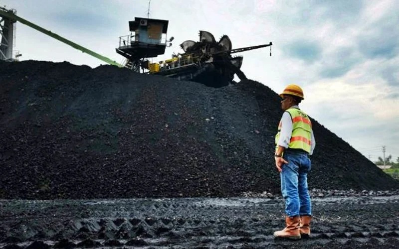 Pemerintah Siapkan Strategi Atur Produksi Batu Bara