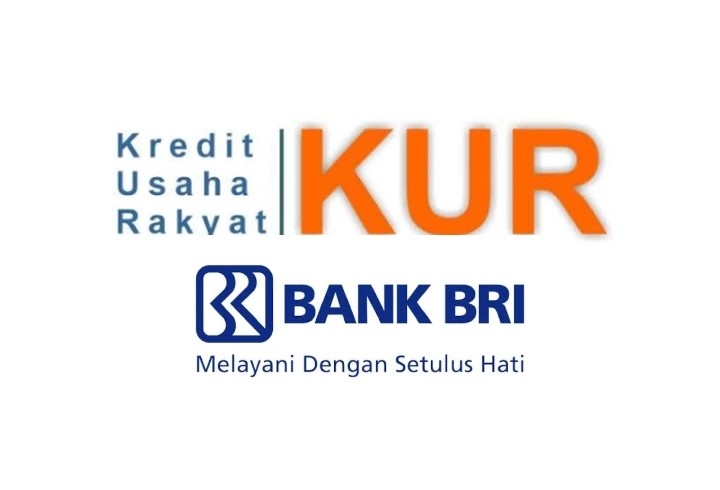 Panduan Lengkap Syarat dan Cara KUR BRI 2025 Panduan Lengkap Syarat dan Cara KUR BRI 2025