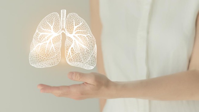 Cara Mudah Menjaga Paru Paru Sehat dengan Vitamin yang Tepat