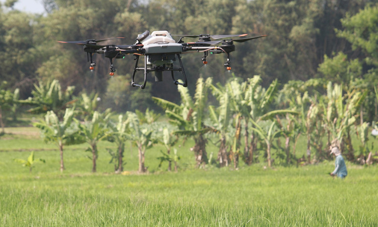 Drone Pertanian Bantu Petani Hadapi Perubahan Iklim Secara Efektif