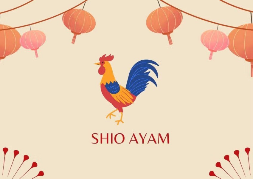 Keberuntungan Shio Hari Ini, Fokus pada Karier dan Cinta
