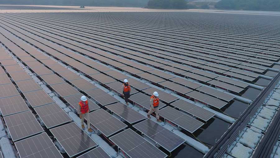 Tenaga Kerja Hijau Tumbuh Pesat Bersama Proyek PLTS 100 GW