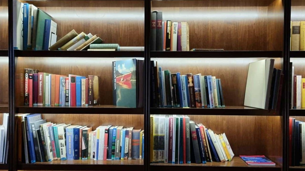 Cara Menulis Daftar Pustaka dari Artikel dan Contohnya