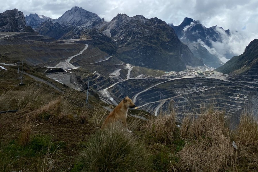 Freeport Indonesia Gelontorkan Investasi Sosial USD 100 Juta Setiap Tahun