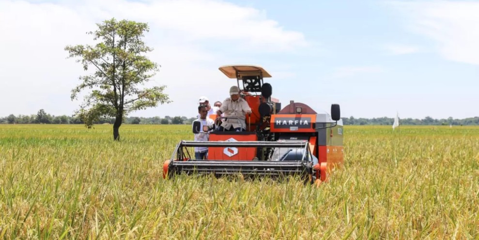 Komitmen Swasembada Pangan, Cadangan Beras Nasional Capai 4,2 Juta Ton