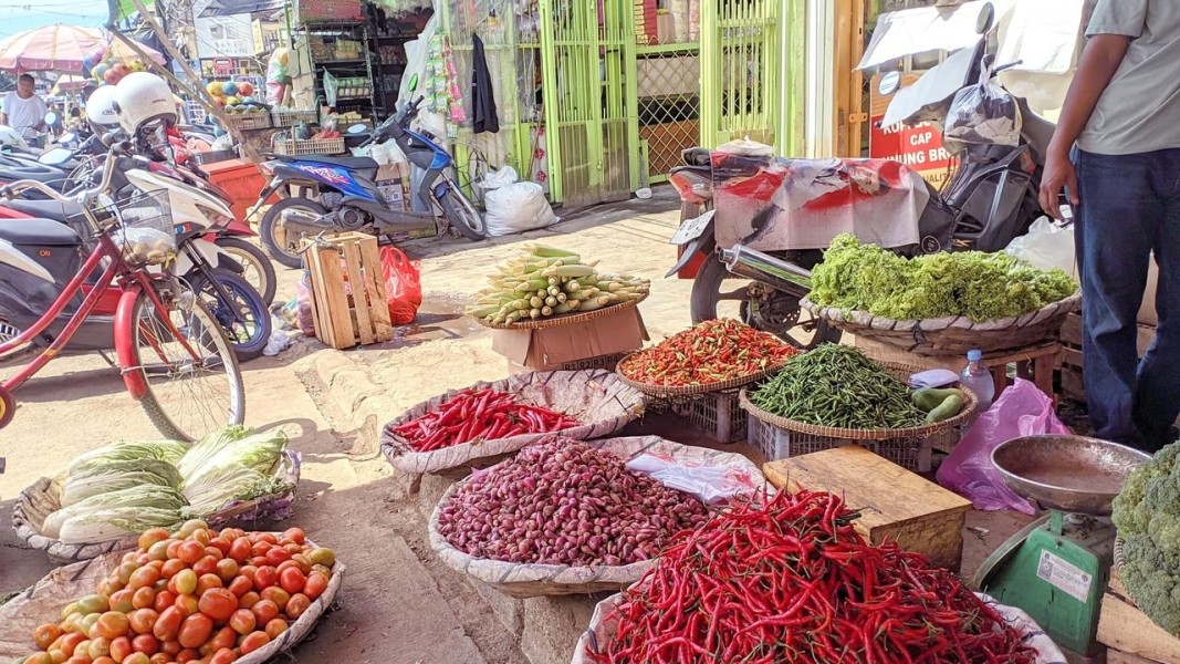 Harga Pangan 27 Januari 2026: Perubahan Harga Cabai, Ayam, dan Minyak Goreng