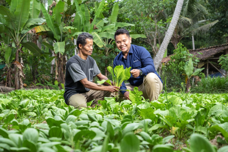 MIND ID Dukung Swasembada Lewat Program Petani Mandiri