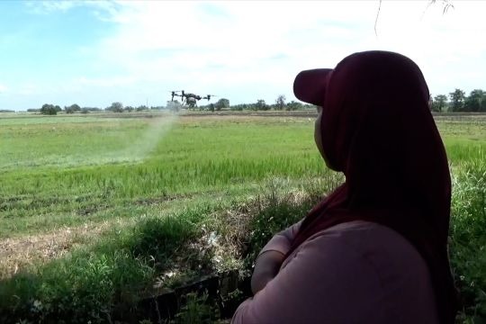 Maxxi Tani Perkuat Pendampingan Petani Melalui Skema Inovatif Bayar Setelah Panen