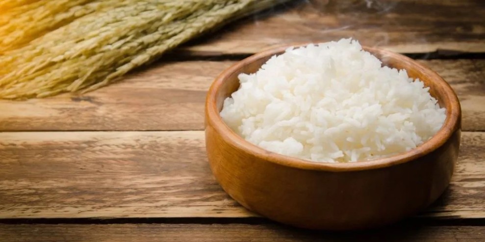 Seberapa Lama Nasi Diproses Sistem Pencernaan Lambung