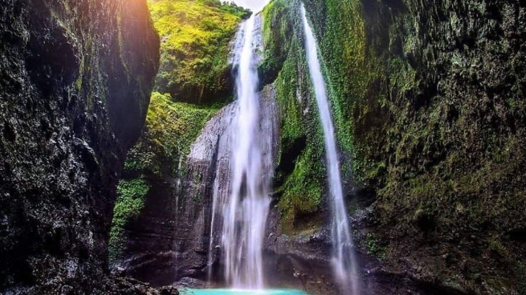 Menyusuri Pesona Wisata Probolinggo dari Gunung ke Pantai