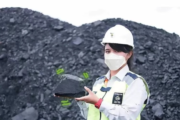 Dominasi Batu Bara di Proyeksi Energi Indonesia