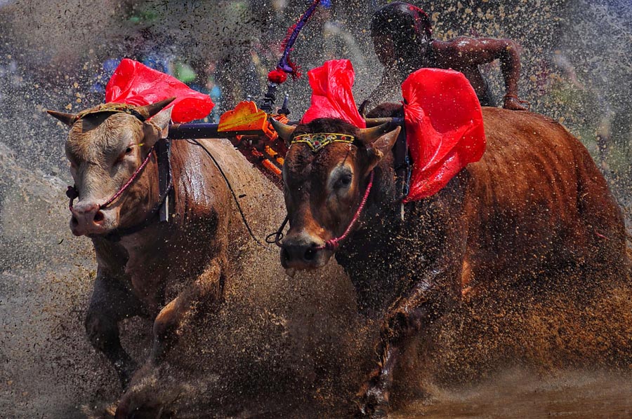 6 Olahraga Tradisional Indonesia yang Mendunia dan Jadi Warisan Budaya