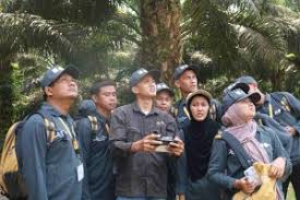 Transformasi SDM Petani Sawit Riau Lewat Pelatihan Pemetaan Kebun