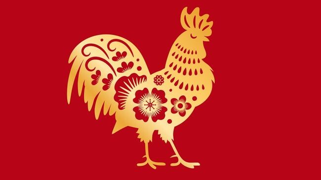Keberuntungan Besar Menghampiri Shio Ayam Hari Ini