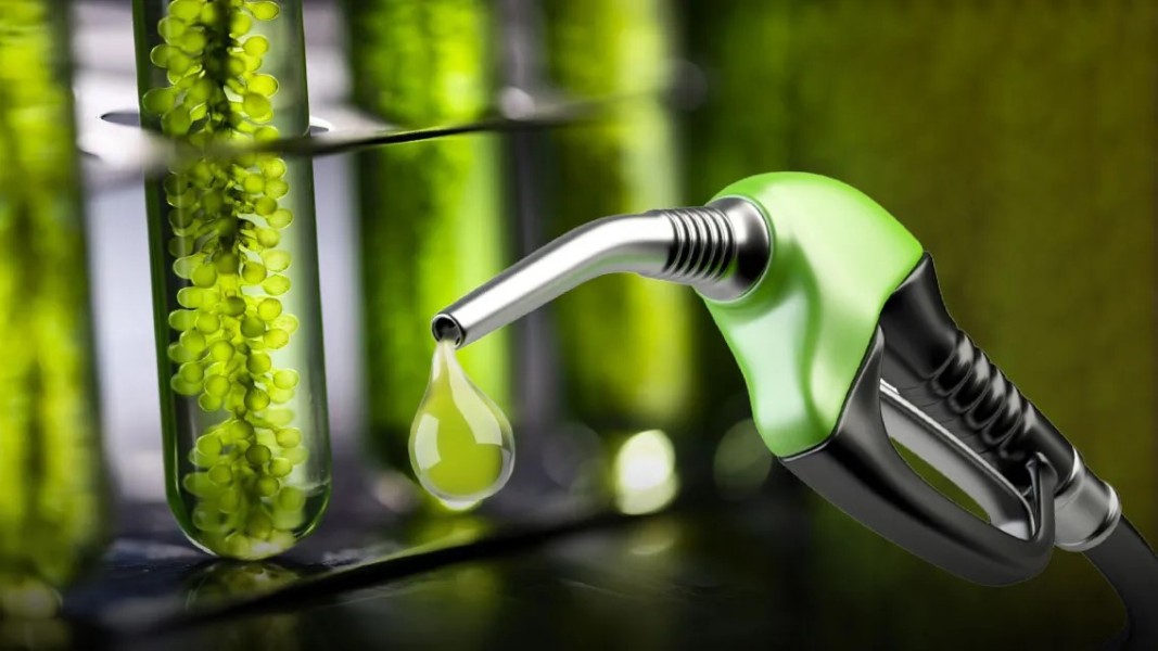 Etanol Campur BBM Bisa Ulang Sukses Biodiesel dan Kurangi Impor