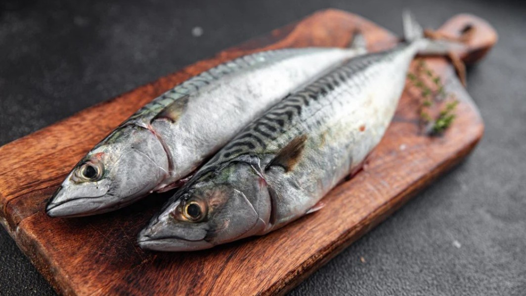 5 Ikan Kaya Vitamin D untuk Menunjang Kesehatan Tubuh