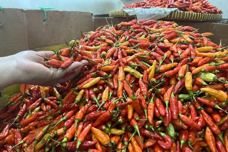 Fluktuasi Harga Sembako Jatim 10 Februari 2026: Cabai Rawit Terus Naik