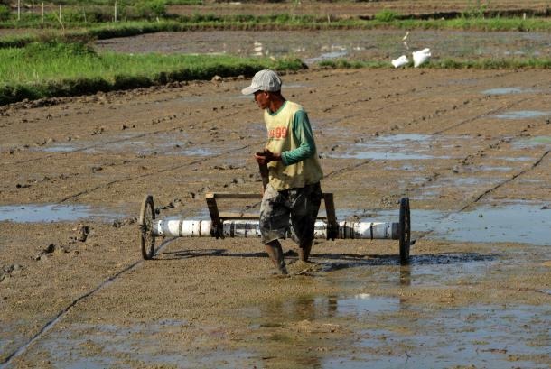 Nilai Tukar Petani Februari 2025 Mengalami Penurunan 0,18 Persen, Hortikultura Alami Penurunan Terbesar