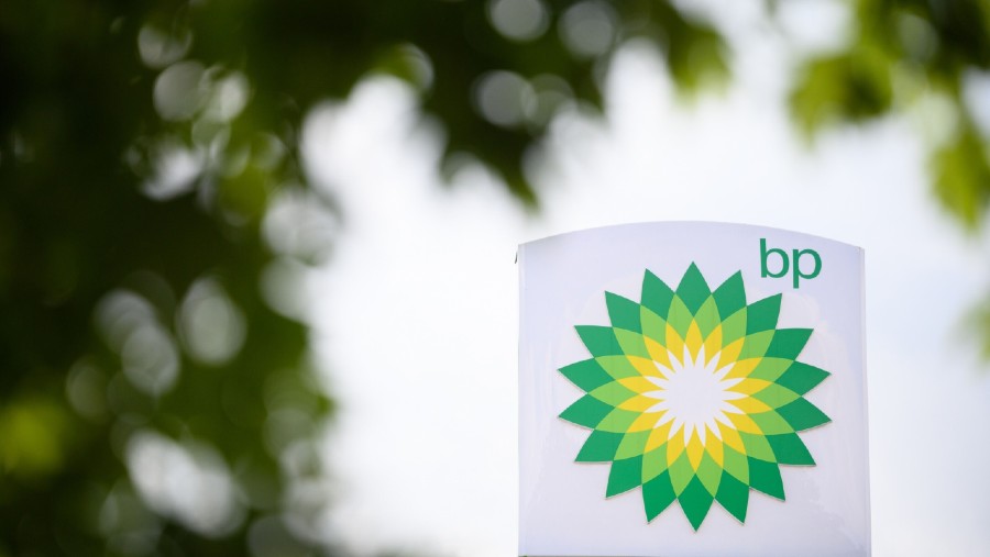 BP dan Pertamina Siapkan Proyek Amonia Biru di Papua Barat untuk Energi Bersih