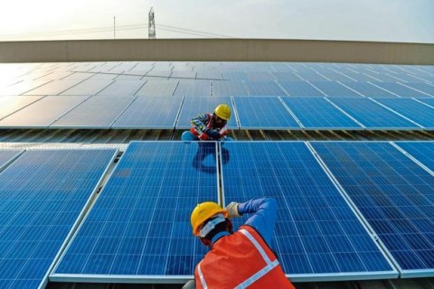 PLN dan Startup Energi Pacu Inovasi Hijau untuk Transisi Energi