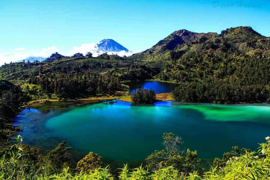 Healing Asyik di Puncak: Wisata Seru untuk Segarkan Pikiran