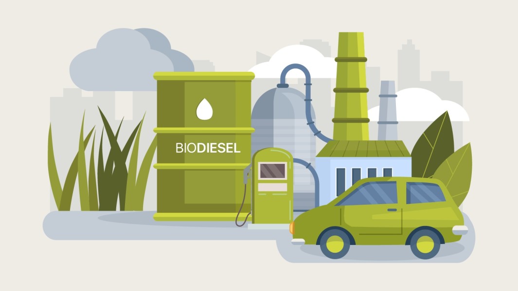 Biodiesel dari Buah Simpalak: Solusi Energi Terbarukan